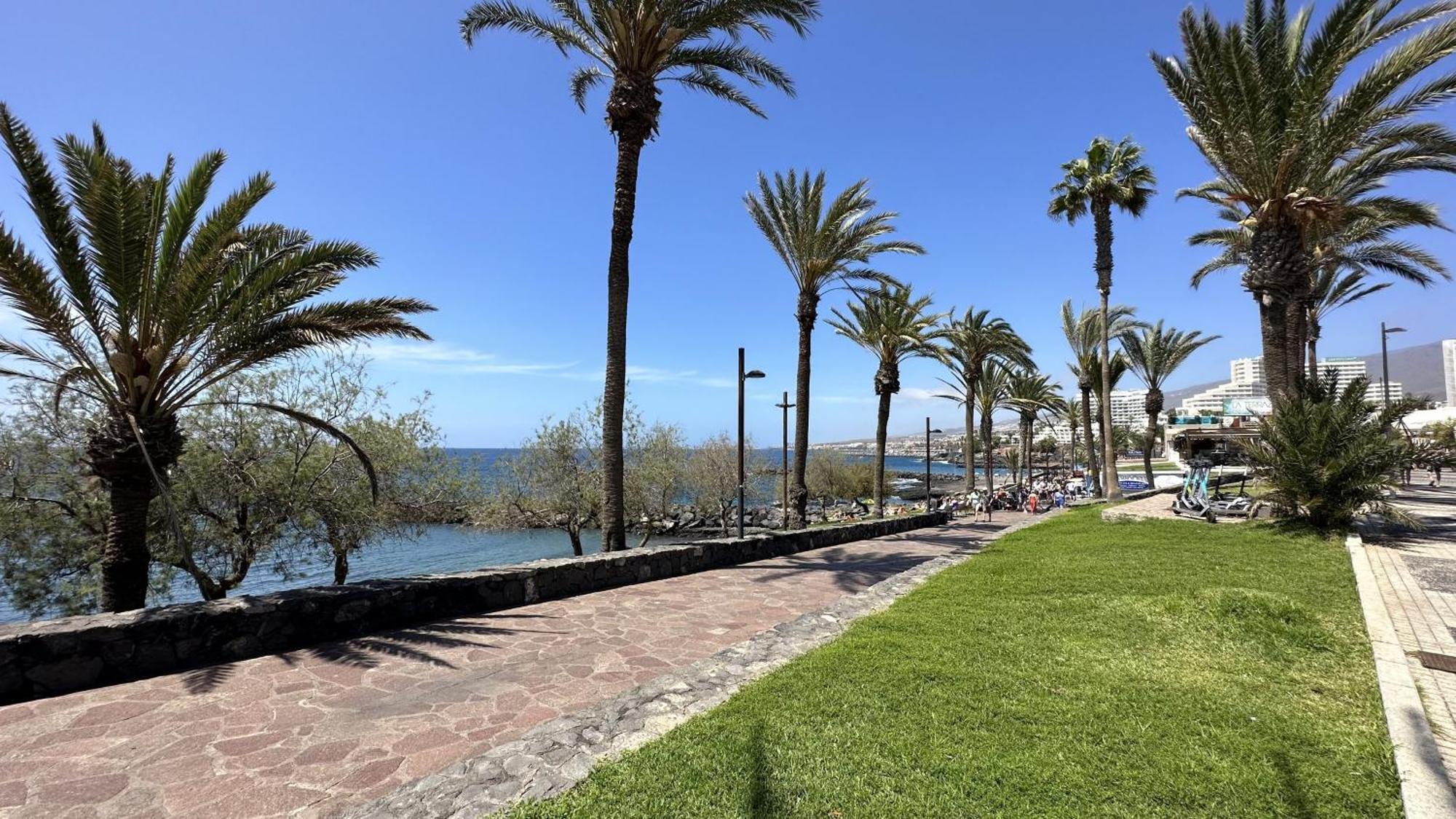 Fantastic Vacation By The Ocean Lägenhet Playa de las Americas  Exteriör bild